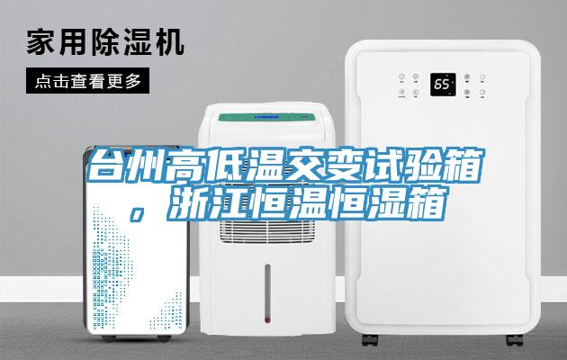 台州高低温交变试验箱，浙江恒温恒湿箱