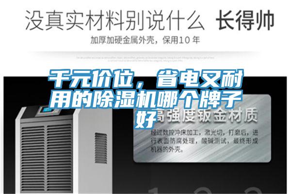 千元价位，省电又耐用的小黄片直播视频哪个牌子好