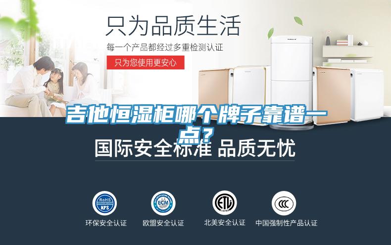 吉他恒湿柜哪个牌子靠谱一点？