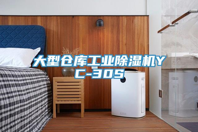 大型仓库工业小黄片直播视频YC-30S