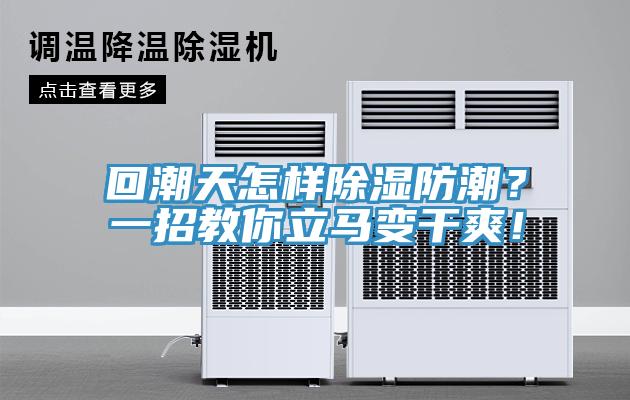 回潮天怎样除湿防潮？一招教你立马变干爽！