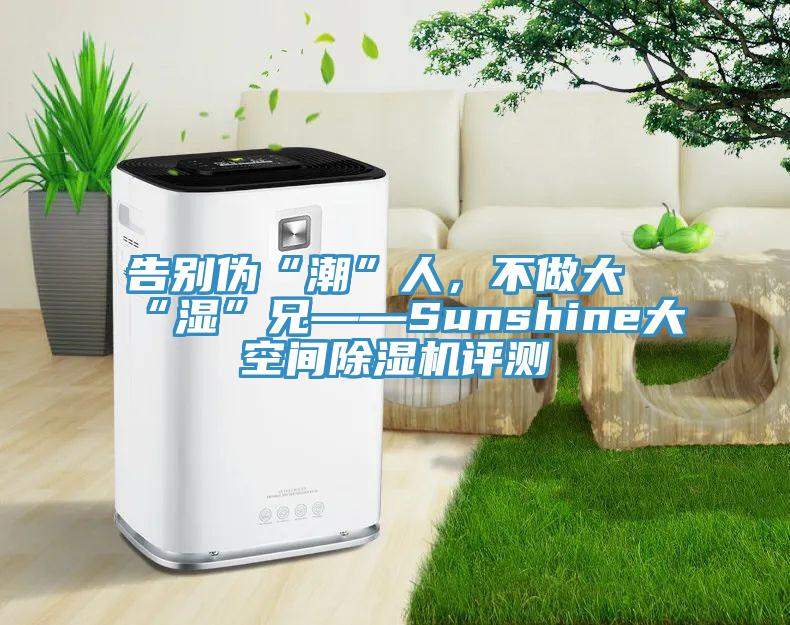 告别伪“潮”人，不做大“湿”兄——Sunshine大空间小黄片直播视频评测
