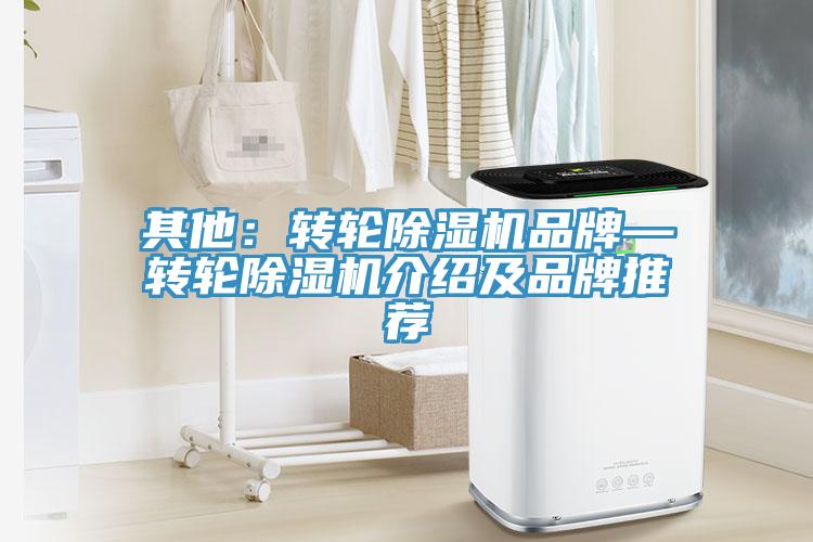 其他：转轮小黄片直播视频品牌—转轮小黄片直播视频介绍及品牌推荐