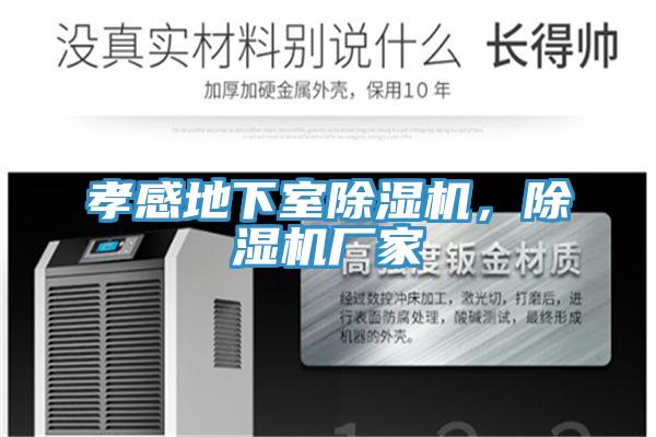 孝感地下室小黄片直播视频，小黄片直播视频厂家