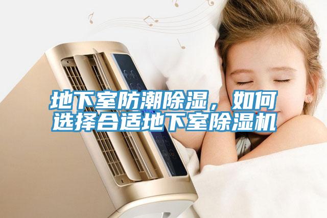 地下室防潮除湿，如何选择合适地下室小黄片直播视频