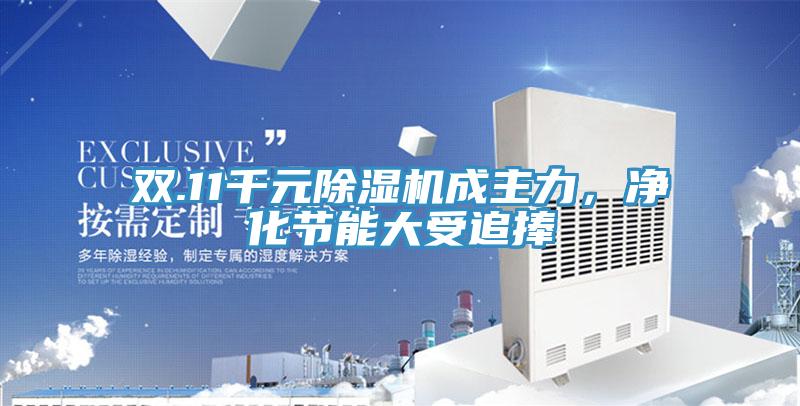 双.11千元小黄片直播视频成主力，净化节能大受追捧