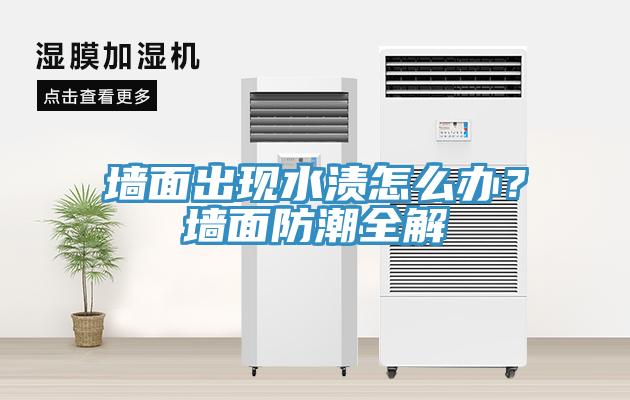 墙面出现水渍怎么办？墙面防潮全解