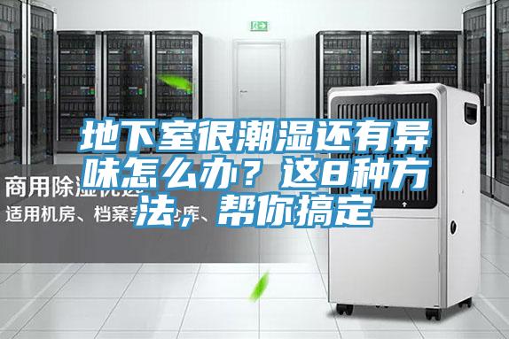 地下室很潮湿还有异味怎么办？这8种方法，帮你搞定