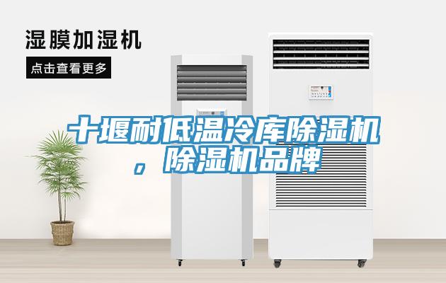 十堰耐低温冷库小黄片直播视频，小黄片直播视频品牌