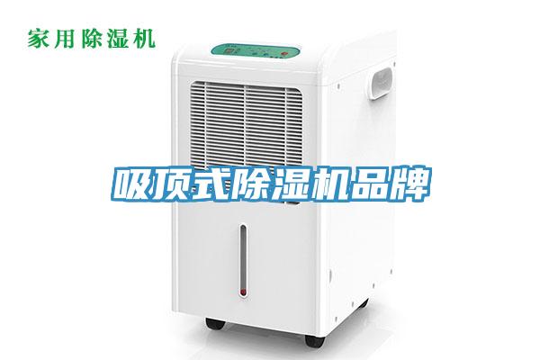 吸顶式小黄片直播视频品牌