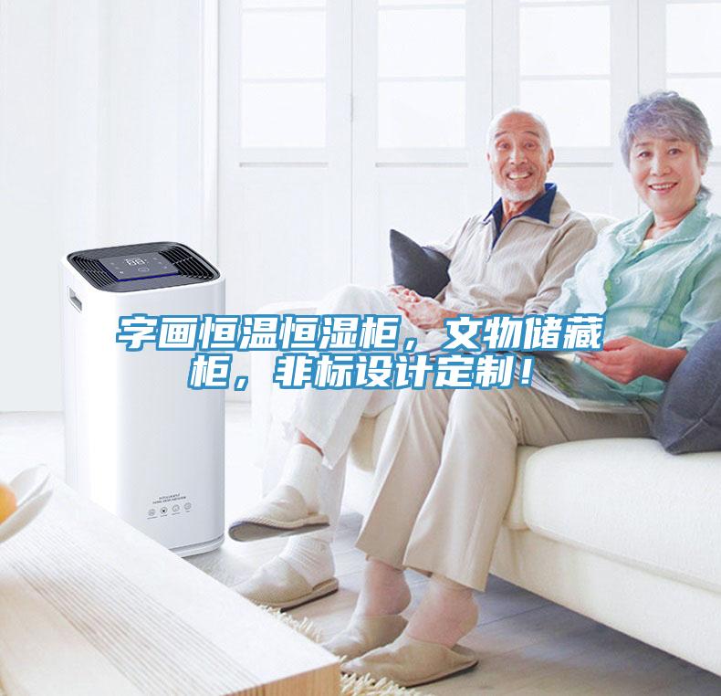 字画恒温恒湿柜，文物储藏柜，非标设计定制！