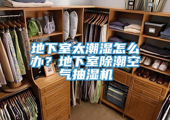 地下室太潮湿怎么办？地下室除潮空气抽湿机