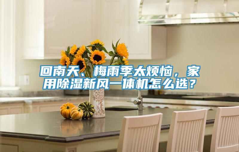 回南天、梅雨季太烦恼，家用除湿新风一体机怎么选？