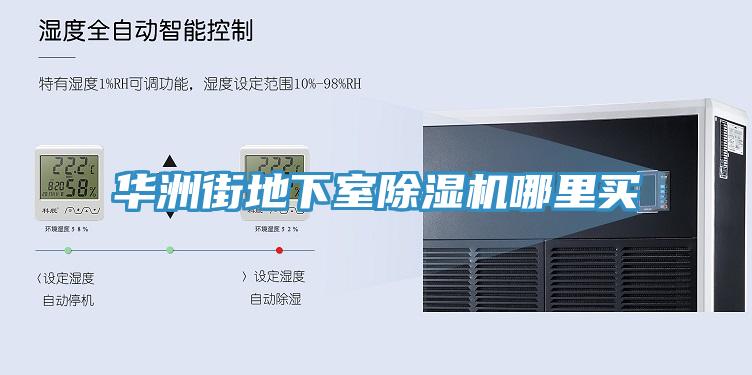 华洲街地下室小黄片直播视频哪里买