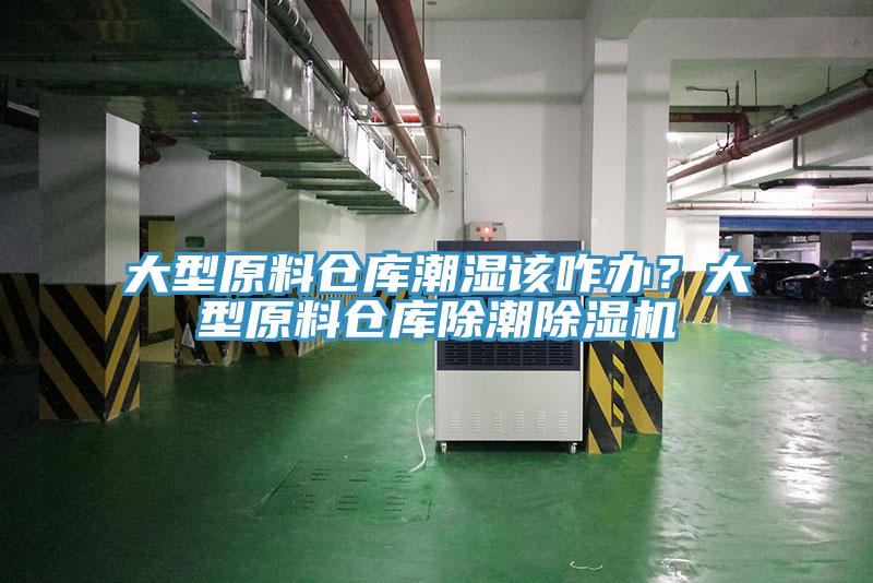 大型原料仓库潮湿该咋办？大型原料仓库除潮小黄片直播视频