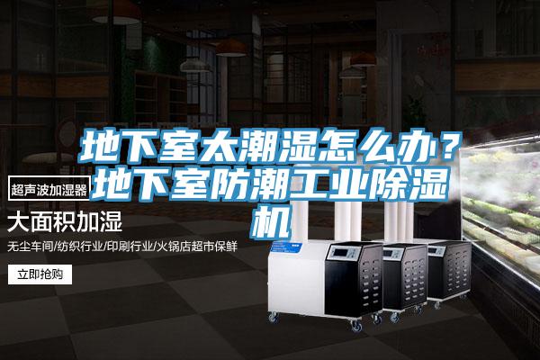 地下室太潮湿怎么办？地下室防潮工业小黄片直播视频