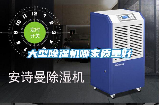 大型小黄片直播视频哪家质量好