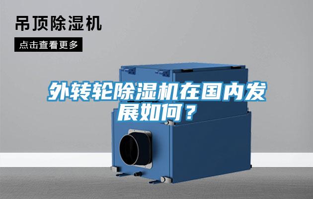 外转轮小黄片直播视频在国内发展如何？
