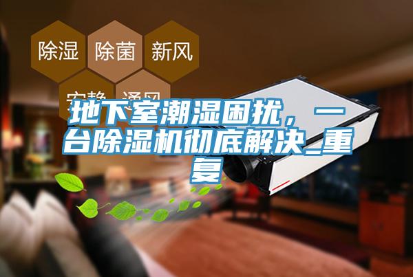地下室潮湿困扰，一台小黄片直播视频彻底解决_重复