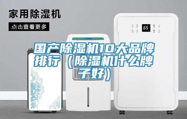 国产小黄片直播视频10大品牌排行（小黄片直播视频什么牌子好）