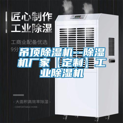 吊顶小黄片直播视频--小黄片直播视频厂家【定制】工业小黄片直播视频