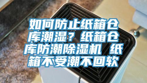 如何防止纸箱仓库潮湿？纸箱仓库防潮小黄片直播视频 纸箱不受潮不回软