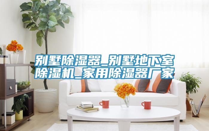 别墅除湿器_别墅地下室小黄片直播视频_家用除湿器厂家