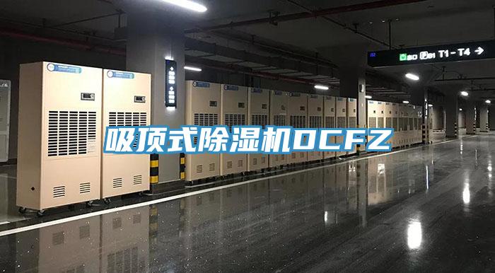 吸顶式小黄片直播视频DCFZ