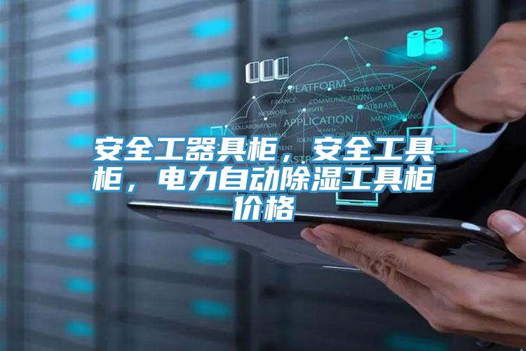 安全工器具柜，安全工具柜，电力自动除湿工具柜价格