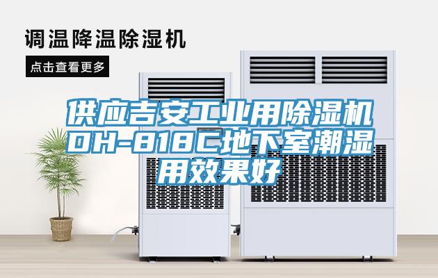 供应吉安工业用小黄片直播视频DH-818C地下室潮湿用效果好