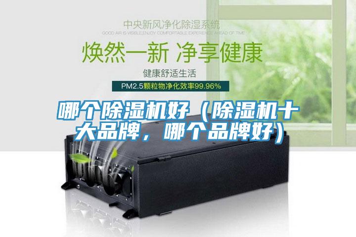 哪个小黄片直播视频好（小黄片直播视频十大品牌，哪个品牌好）
