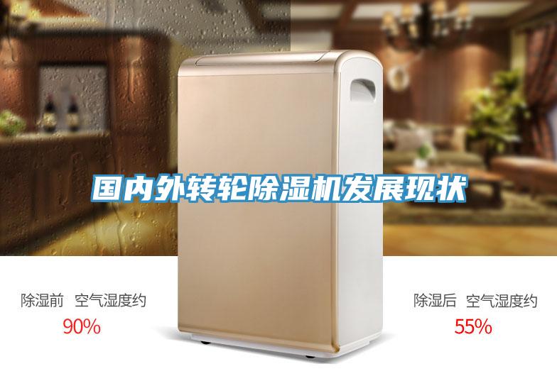 国内外转轮小黄片直播视频发展现状