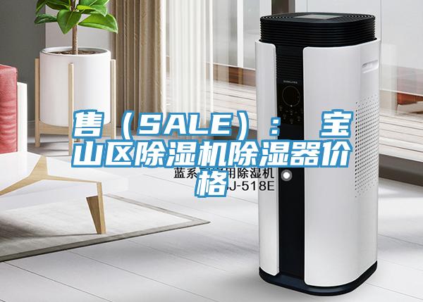 售（SALE）： 宝山区小黄片直播视频除湿器价格