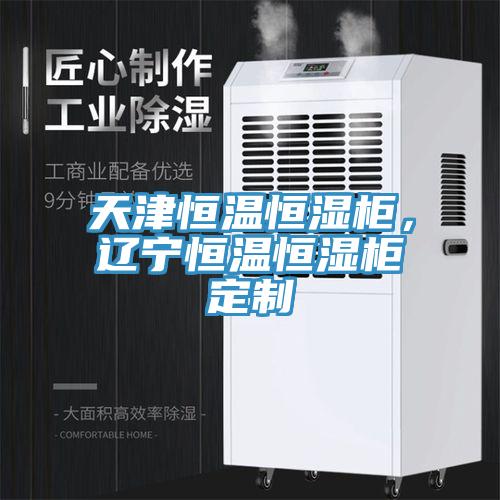 天津恒温恒湿柜，辽宁恒温恒湿柜定制