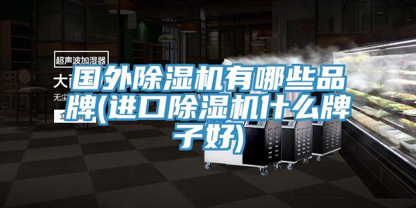 国外小黄片直播视频有哪些品牌(进口小黄片直播视频什么牌子好)