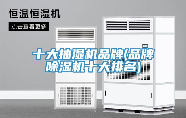 十大抽湿机品牌(品牌小黄片直播视频十大排名)