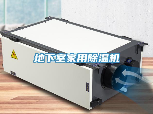 地下室家用小黄片直播视频