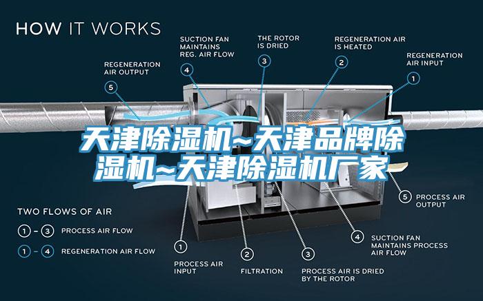 天津小黄片直播视频~天津品牌小黄片直播视频~天津小黄片直播视频厂家