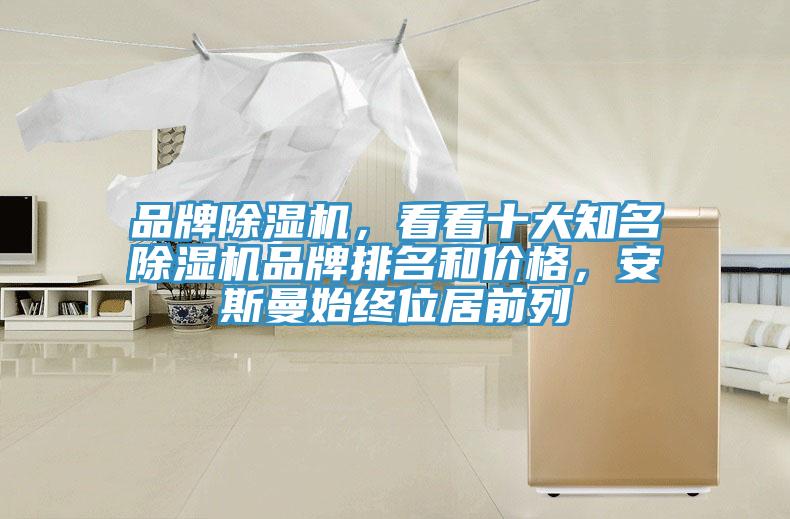 品牌小黄片直播视频，看看十大知名小黄片直播视频品牌排名和价格，安斯曼始终位居前列