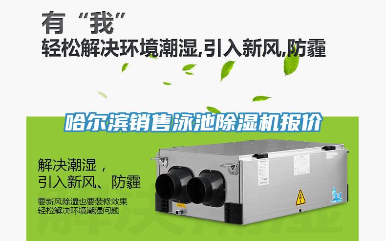 哈尔滨销售泳池小黄片直播视频报价