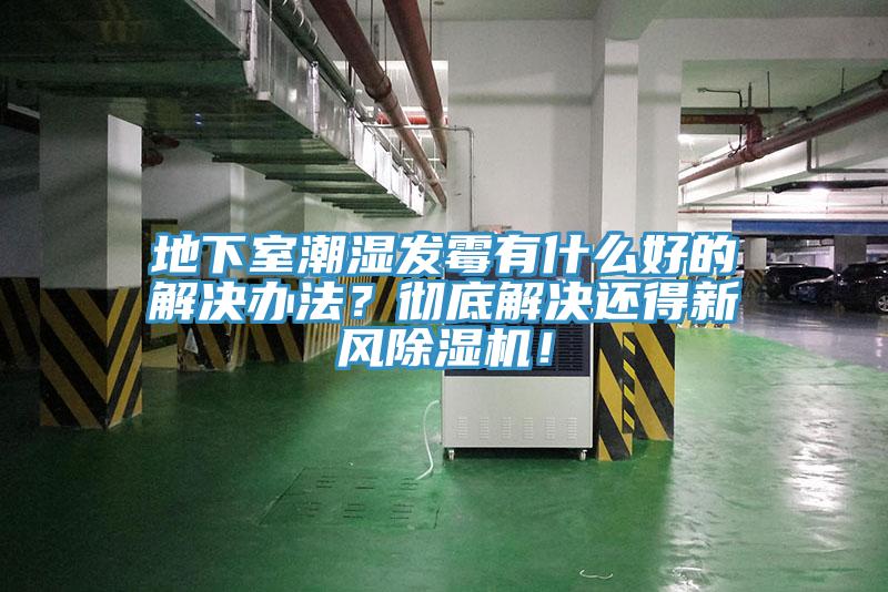 地下室潮湿发霉有什么好的解决办法？彻底解决还得新风小黄片直播视频！
