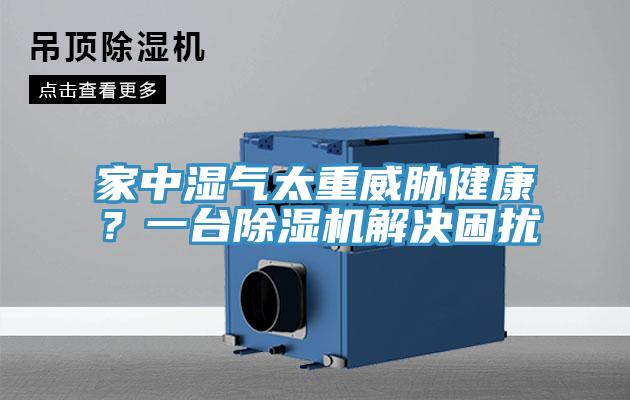 家中湿气太重威胁健康？一台小黄片直播视频解决困扰
