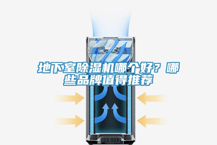 地下室小黄片直播视频哪个好？哪些品牌值得推荐