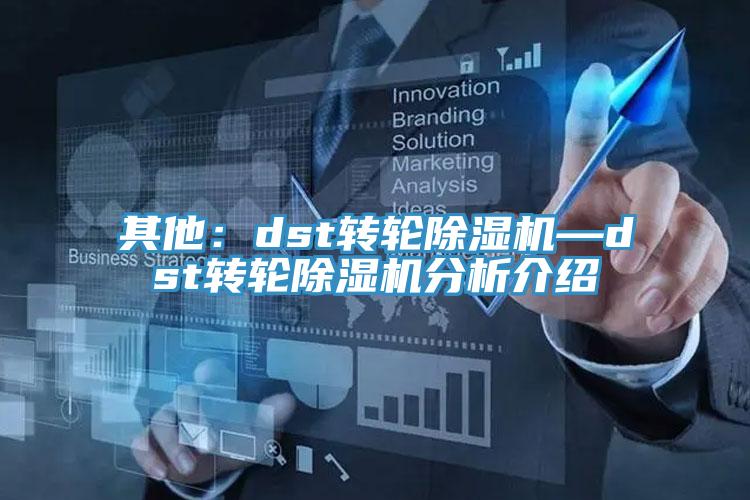 其他：dst转轮小黄片直播视频—dst转轮小黄片直播视频分析介绍