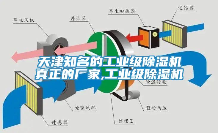 天津知名的工业级小黄片直播视频真正的厂家,工业级小黄片直播视频