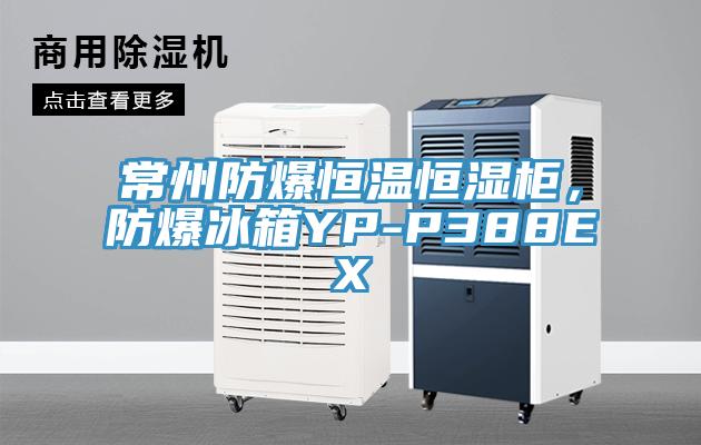 常州防爆恒温恒湿柜，防爆冰箱YP-P388EX