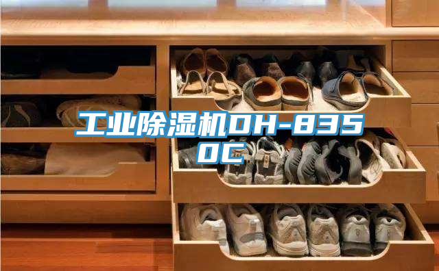 工业小黄片直播视频DH-8350C