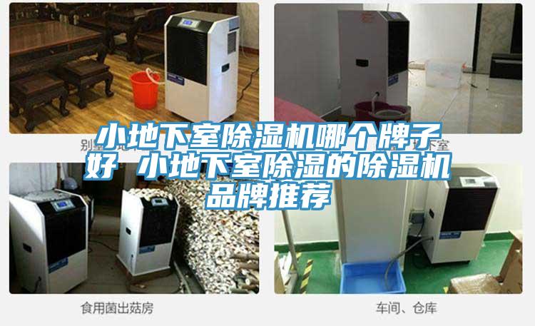 小地下室小黄片直播视频哪个牌子好 小地下室除湿的小黄片直播视频品牌推荐