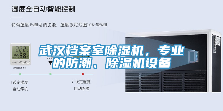 武汉档案室小黄片直播视频，专业的防潮、小黄片直播视频设备