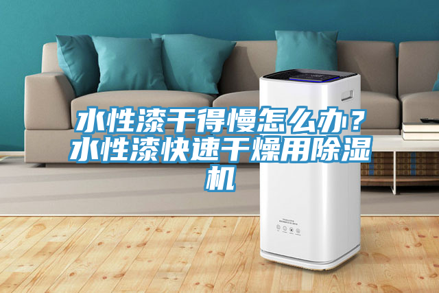 水性漆干得慢怎么办？水性漆快速干燥用小黄片直播视频